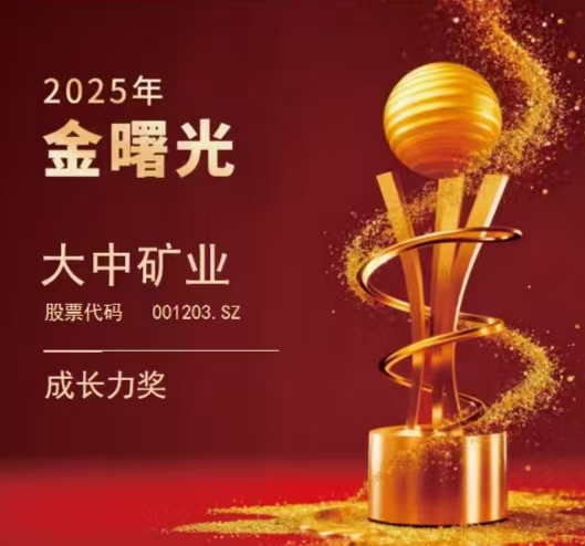 喜报|尊龙凯时矿业荣获“2025年金曙光生长力奖”！